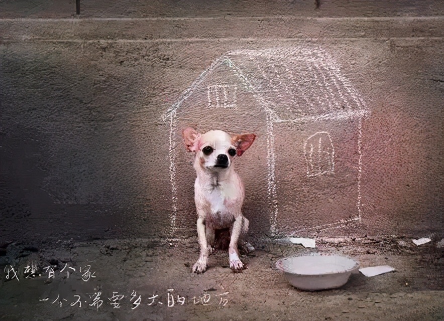 30年前人身上长虱子,为什么以前人长虱子现在没有虱子