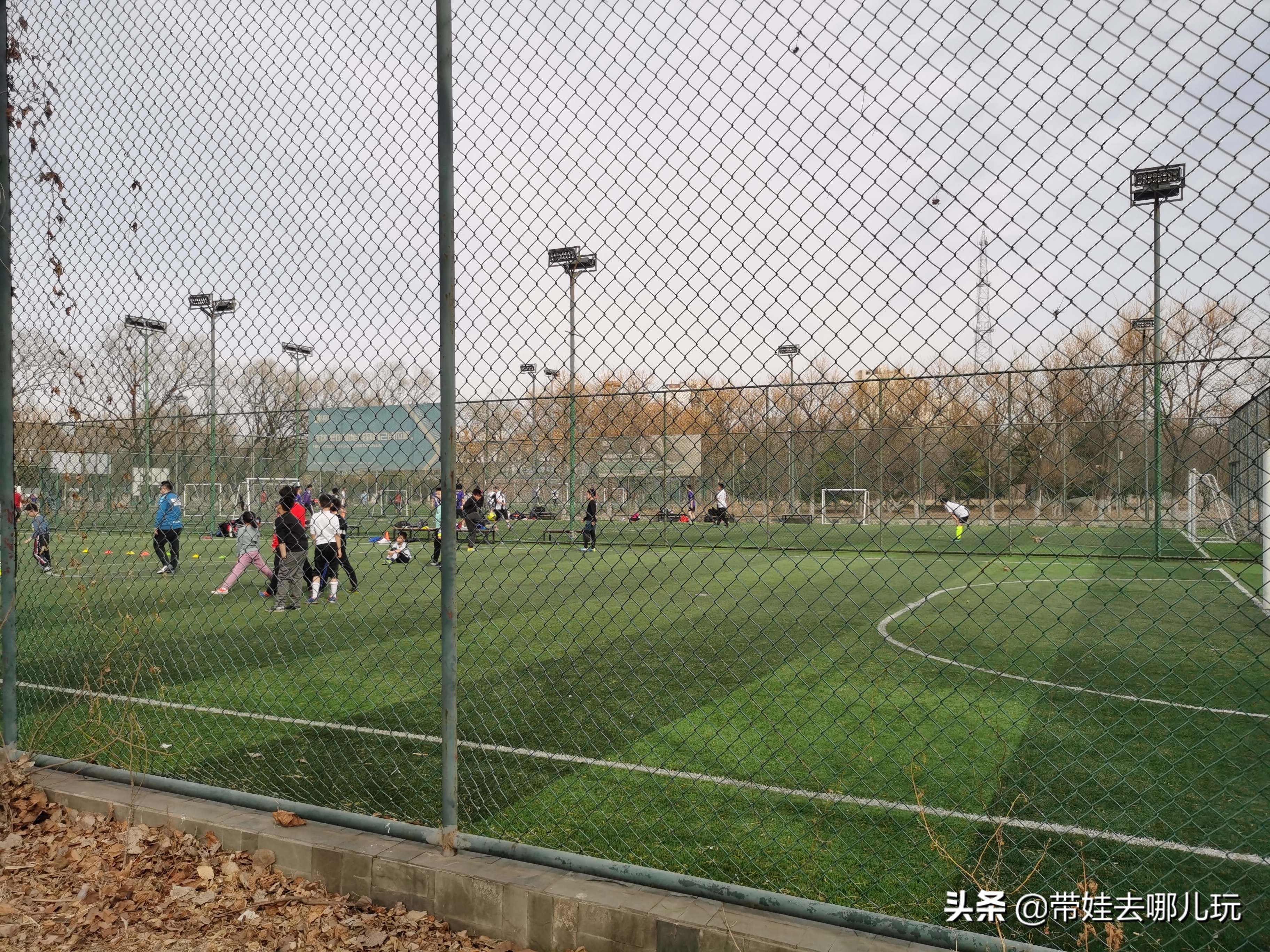 奥森里有免费的儿童乐园吗,奥森公园儿童玩的地方