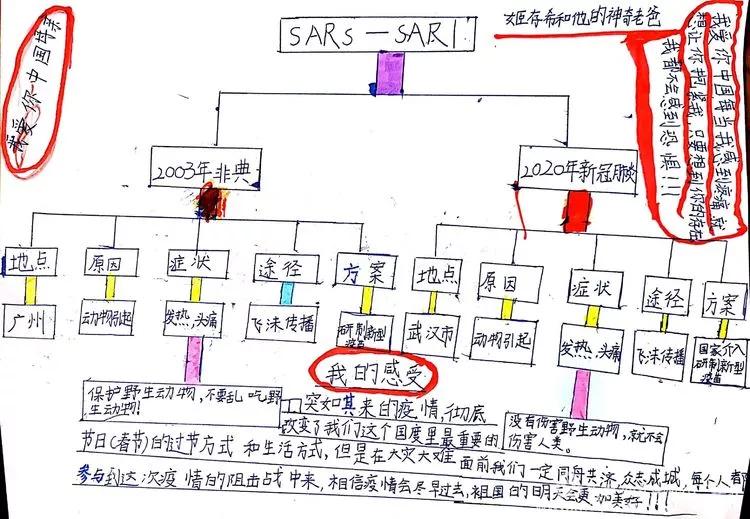 延期开学在家怎么学习,孩子延期开学怎么度过的视频