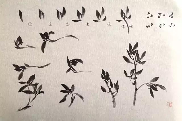 兰花绘画技法教程视频,泰国兰花绘画技法