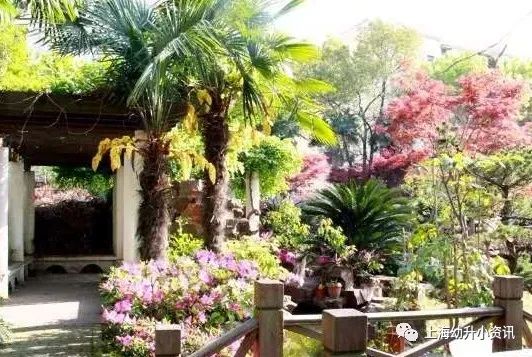 上海十大民办小学排名一览表最新,上海全市招生的民办小学