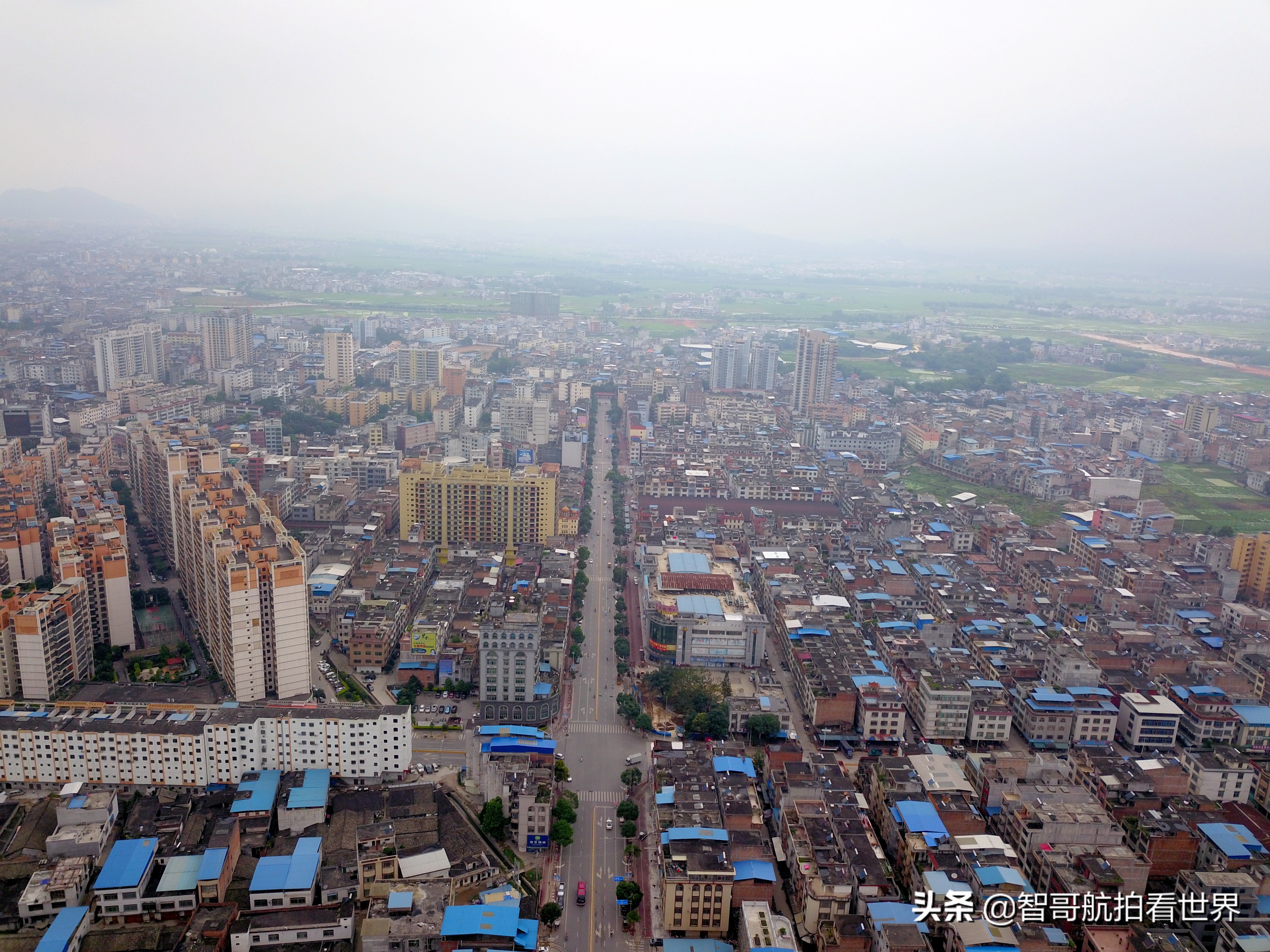 广西宾阳炮龙乡视频,宾阳炮龙之乡新闻