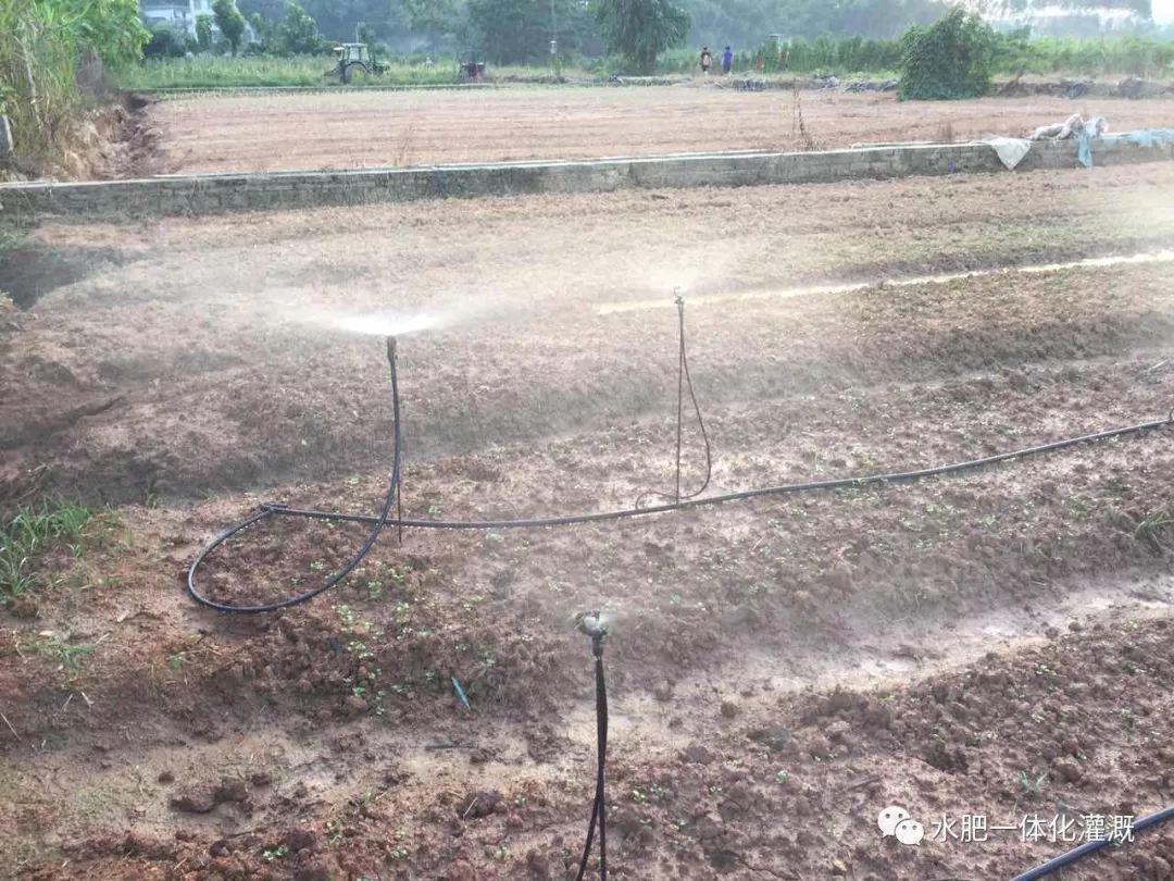 地插微喷头的优缺点,地插式微喷安装