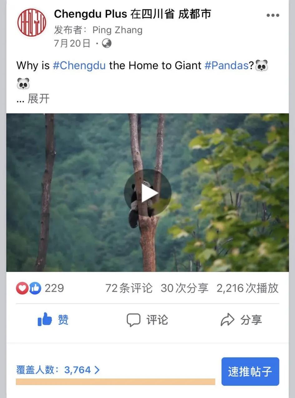 有一种生活美学叫成都短片,成都生活美学视频