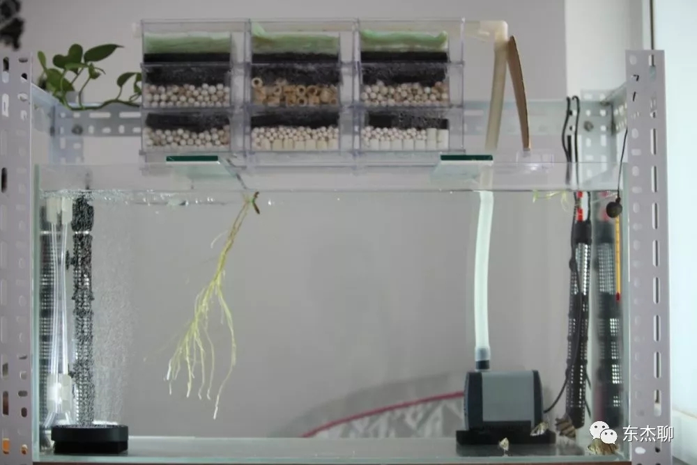 海缸推荐用什么过滤器,海缸用哪种过滤最好