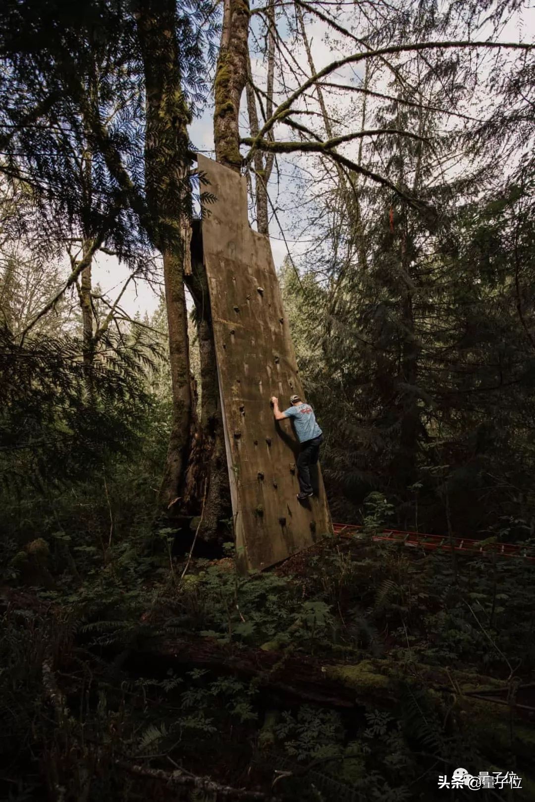 青少年网瘾治疗中心,网瘾戒除中心