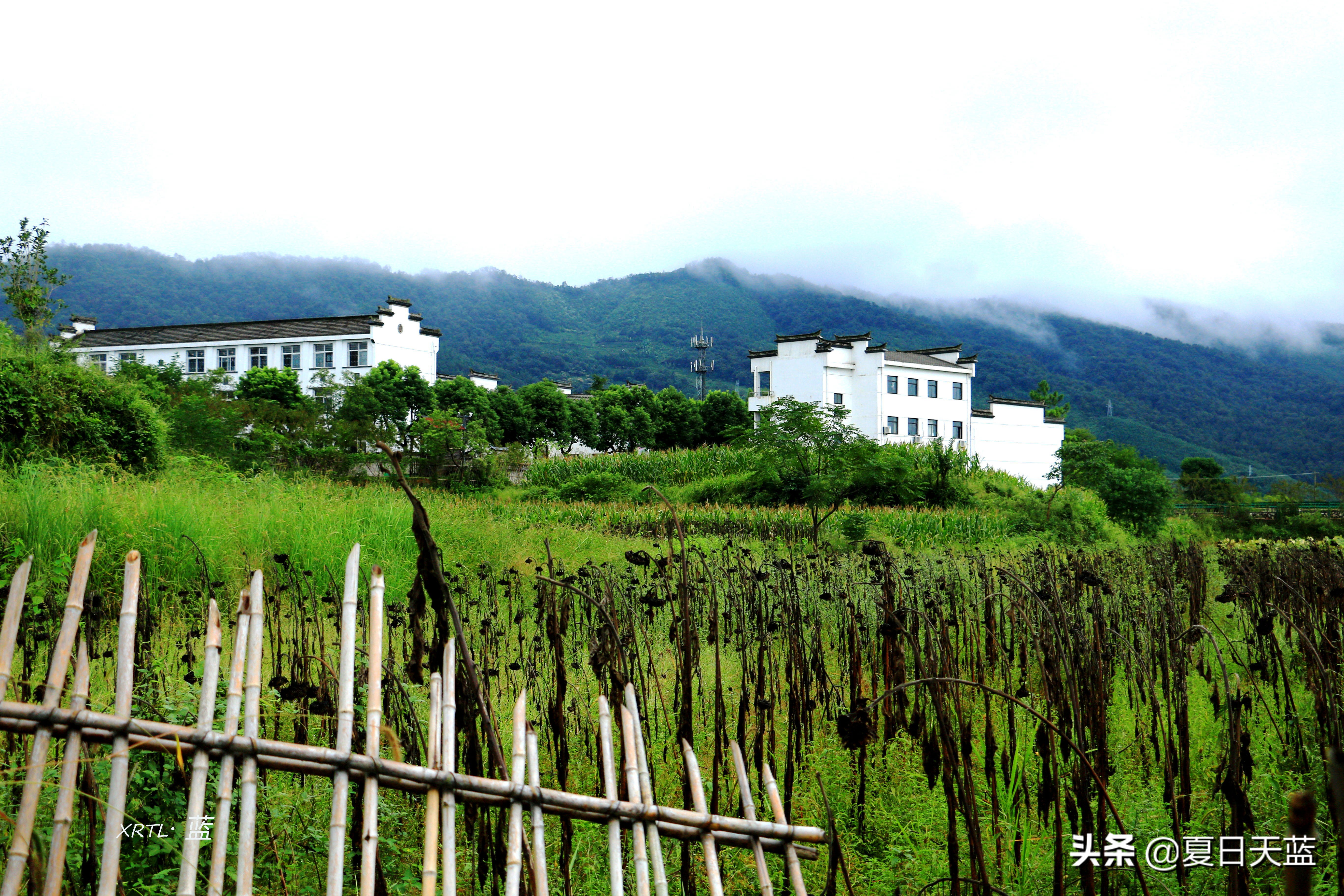 李白在桃花潭写的千古名句,桃花潭因李白而出名的诗句