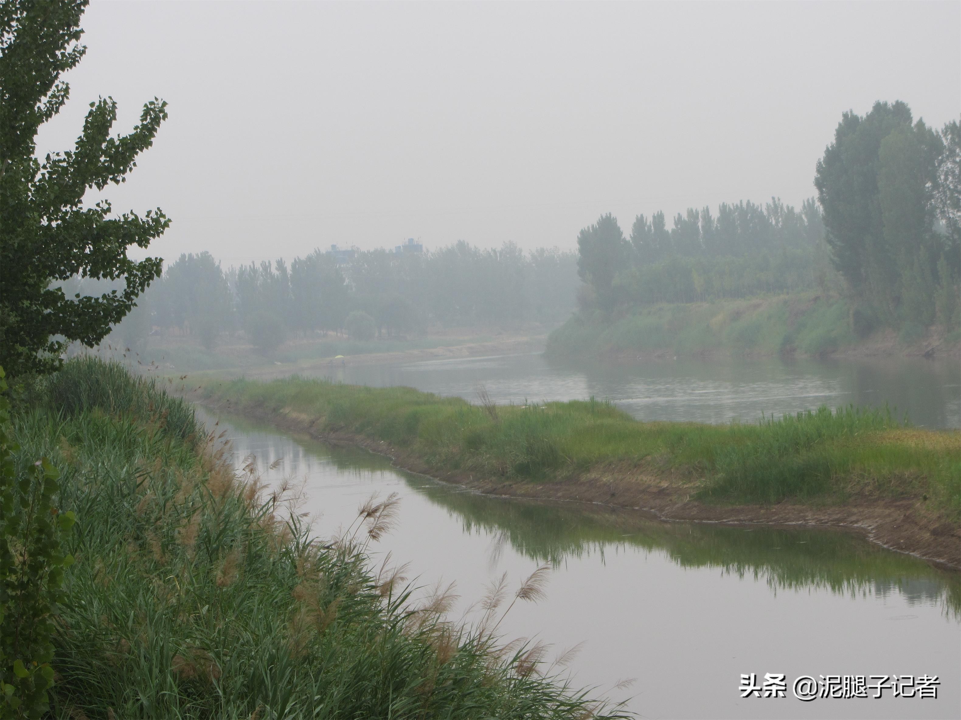 农村小伙捕鱼的真实经历,农村小伙捕鱼的神奇经历