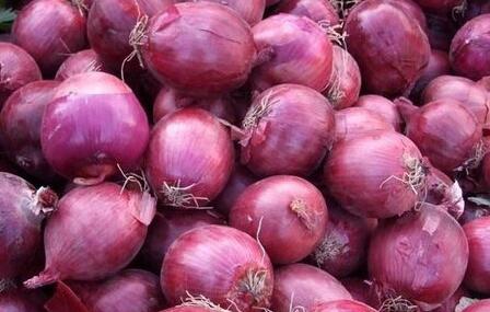 上半年市场猪肉批发价格,现在猪肉批发价格行情