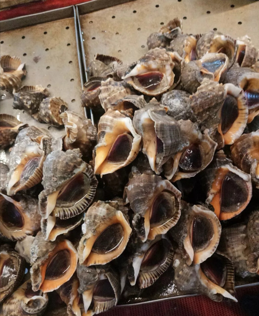 最新青岛海鲜批发市场价格,青岛最大的海鲜批发市场是哪一个