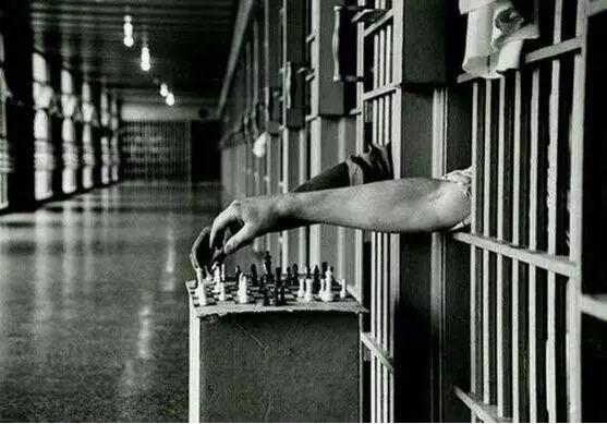 儿童大熊猫合影,儿童大熊猫图片