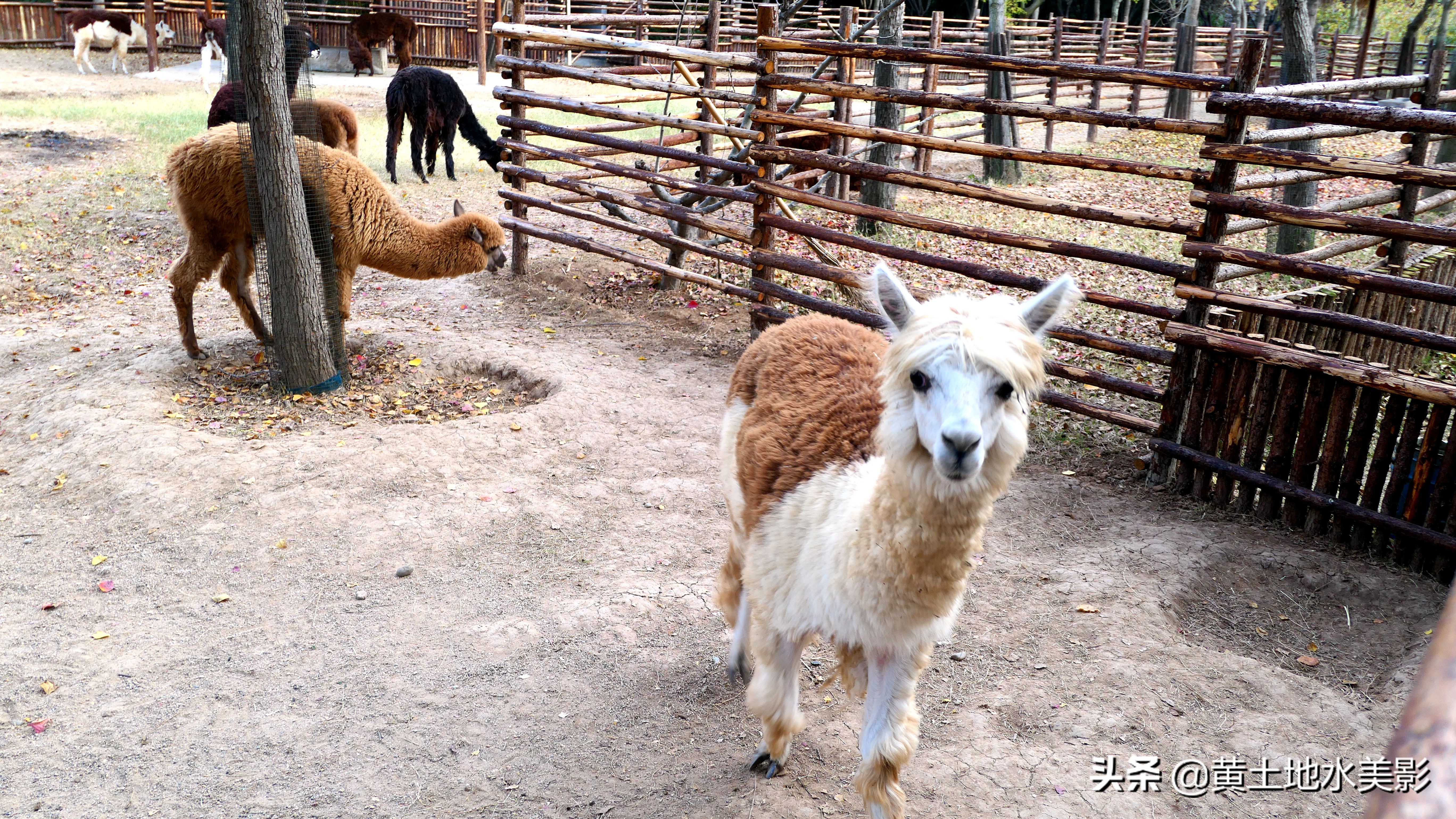 免费游玩东湖公园攻略,免费湿地公园游乐景点