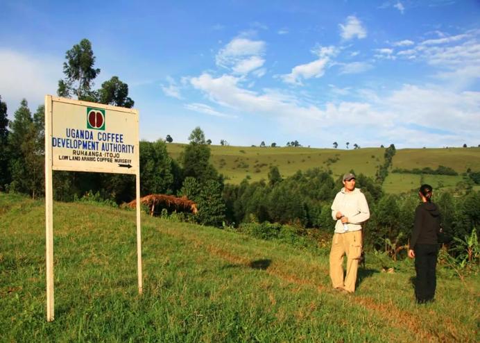 星巴克里的各款咖啡,你不知道的星巴克好喝的咖啡