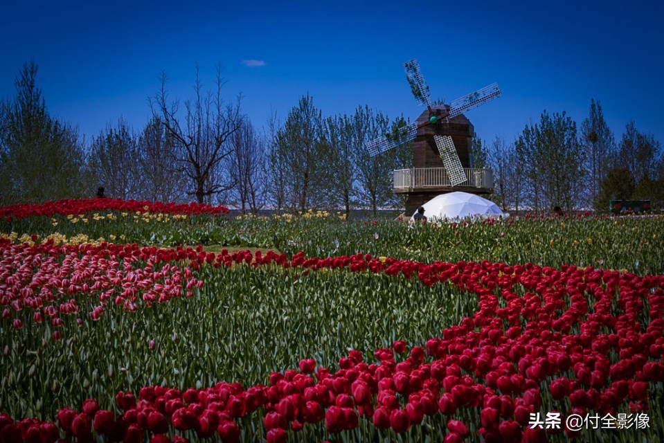北京国际鲜花港门票优惠,北京国际鲜花港夏天