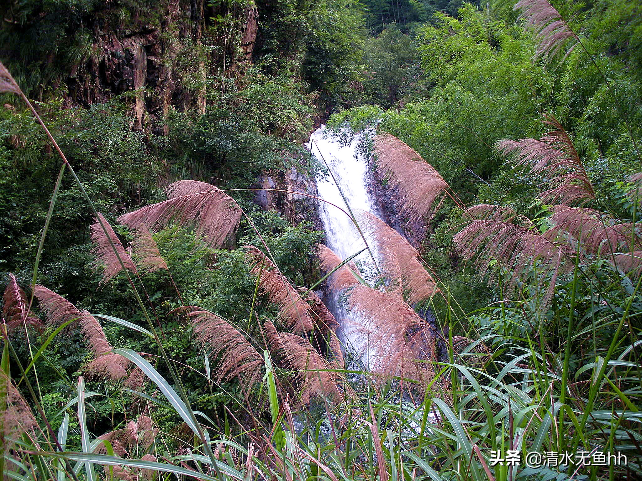 铜钹山九仙湖简介,铜钹山九仙湖几级景区