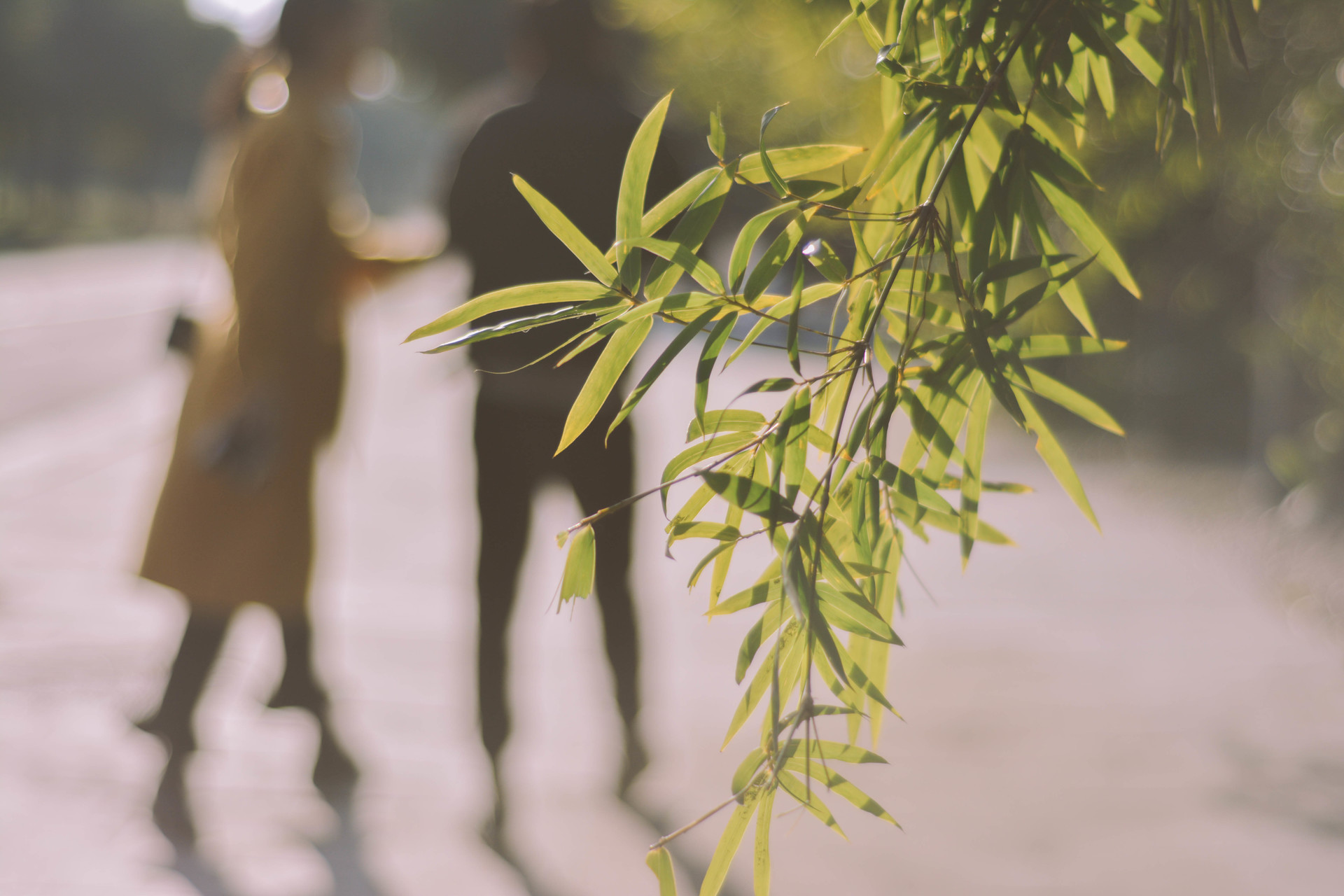 发现妻子在外面有人大结局,发现妻子在外面有人了不吵不闹
