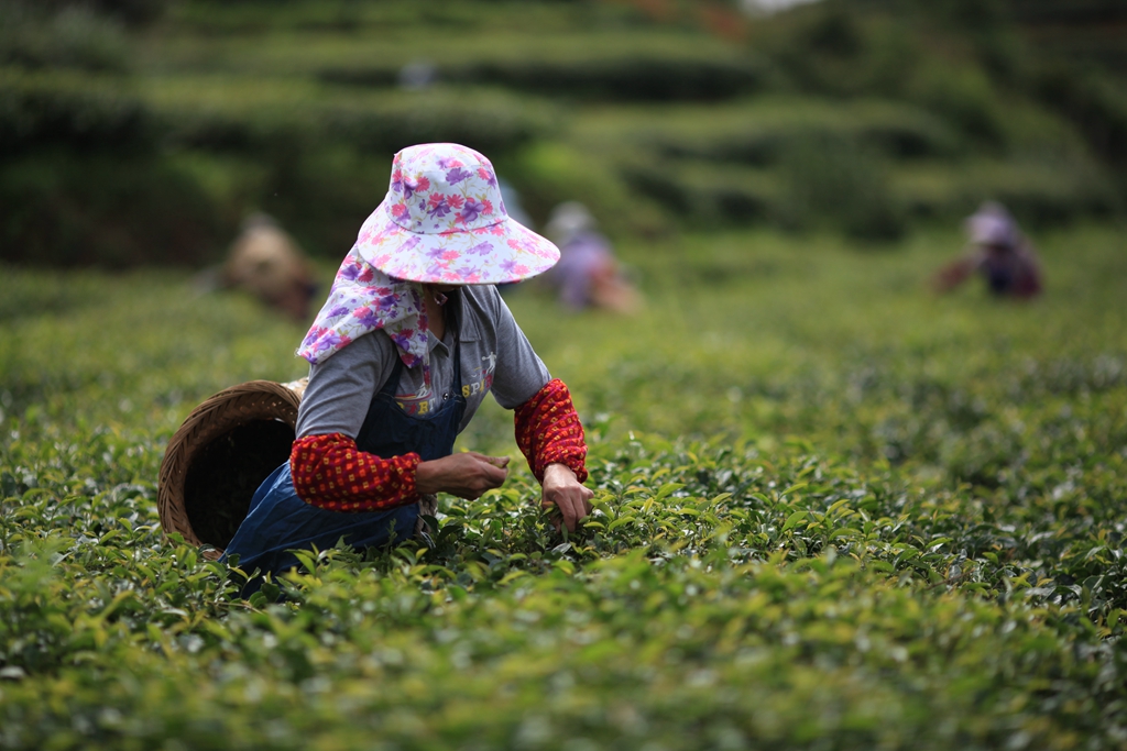 精行俭德对当今的意义,精行俭德的意思