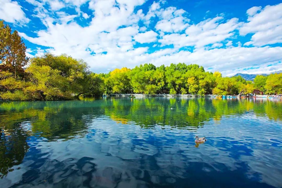 适合夏天去旅游的自驾路线,适合夏季的自驾游路线推荐