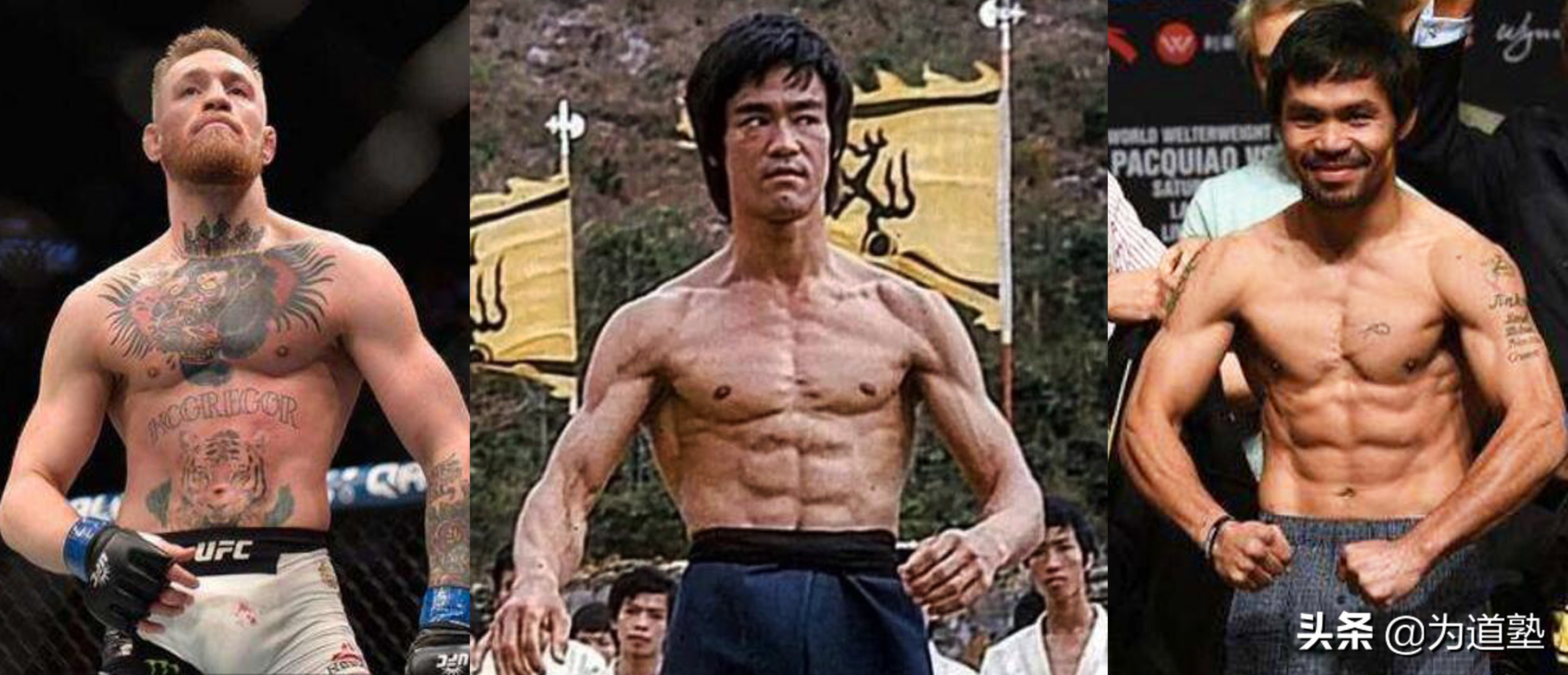 格斗界举足轻重的人物评价李小龙,史泰龙回忆李小龙的功夫有多厉害