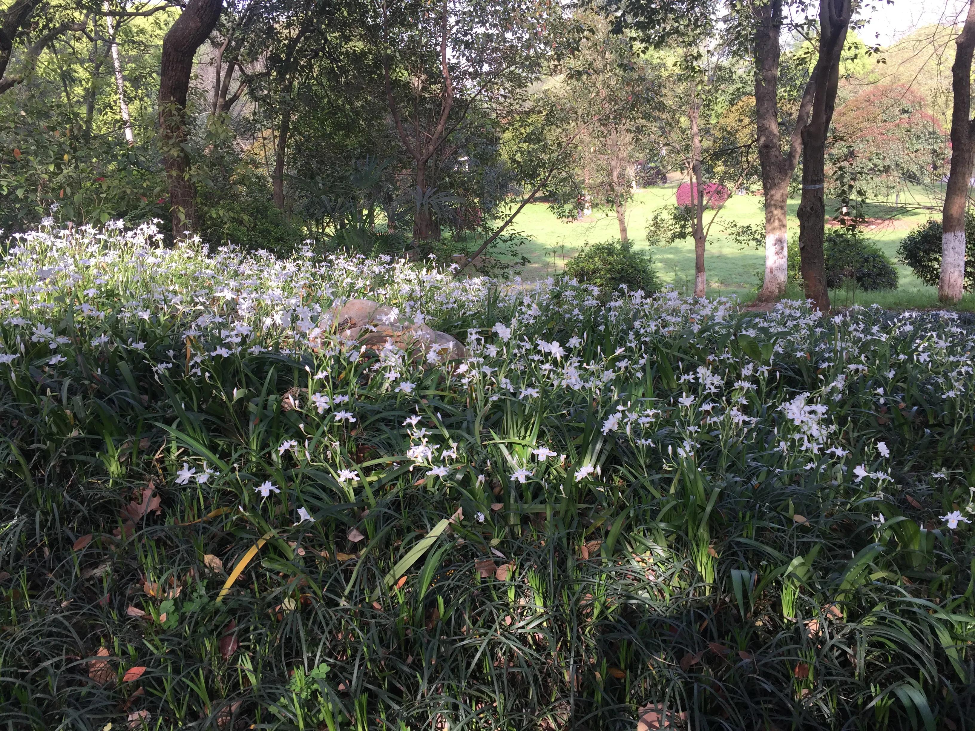 神农公园游览图怎么画简单,神农公园游乐场关门时间