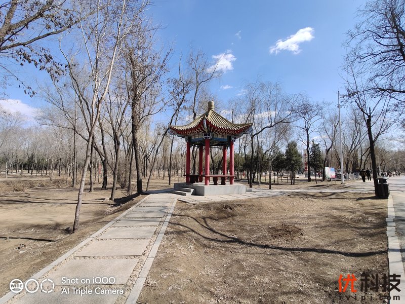 iqoo手机性能发挥到极致,最值得买的全新iqoo手机