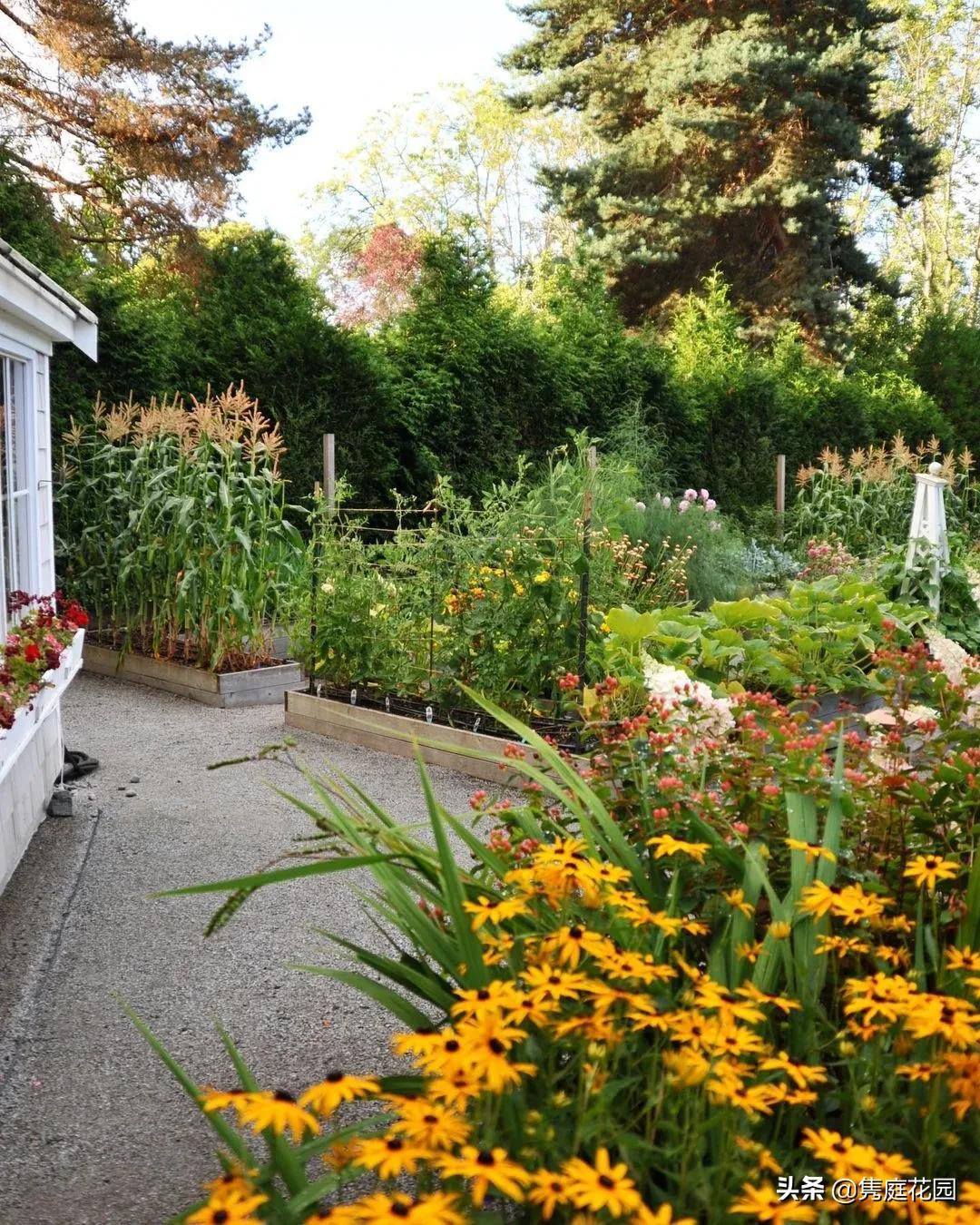 丰富又有趣的花园,花园是最能带给你身心愉悦的地方