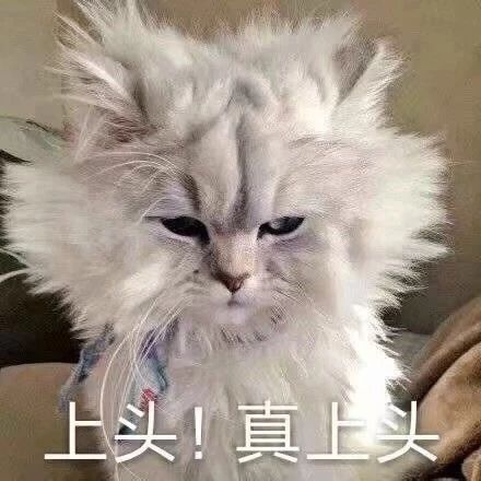 有毒假牛奶,毒牛奶是真是假