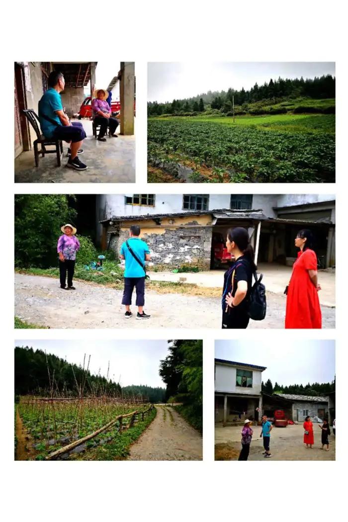 老段和老殷,老段和金段