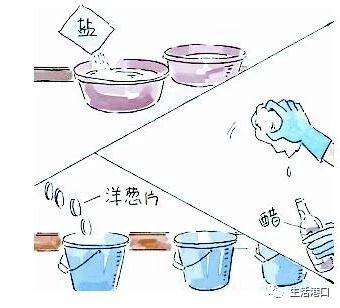 生活妙招油漆怎么去除掉,如何快速去除屋内的油漆味