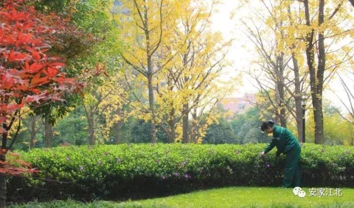 奋争近三年，江北新区这家小区即将引入大牌物业