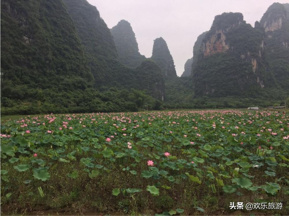 桂林哪些旅游景区好玩,桂林有哪些值得体验的项目