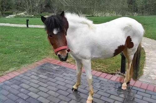 宁海温泉住哪家酒店最好,宁海亲子游酒店