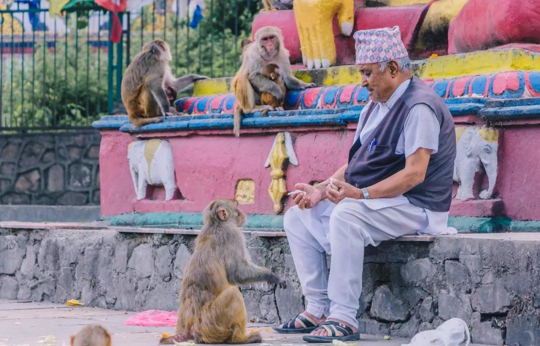 *局骗**和微笑，3000元带你体验双面尼泊尔