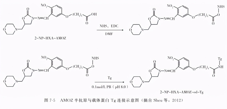 动物源性食品中有害化学物质及污染物的检测——硝基呋喃类药物