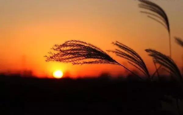 李全喜简介图文,李全喜书法作品欣赏