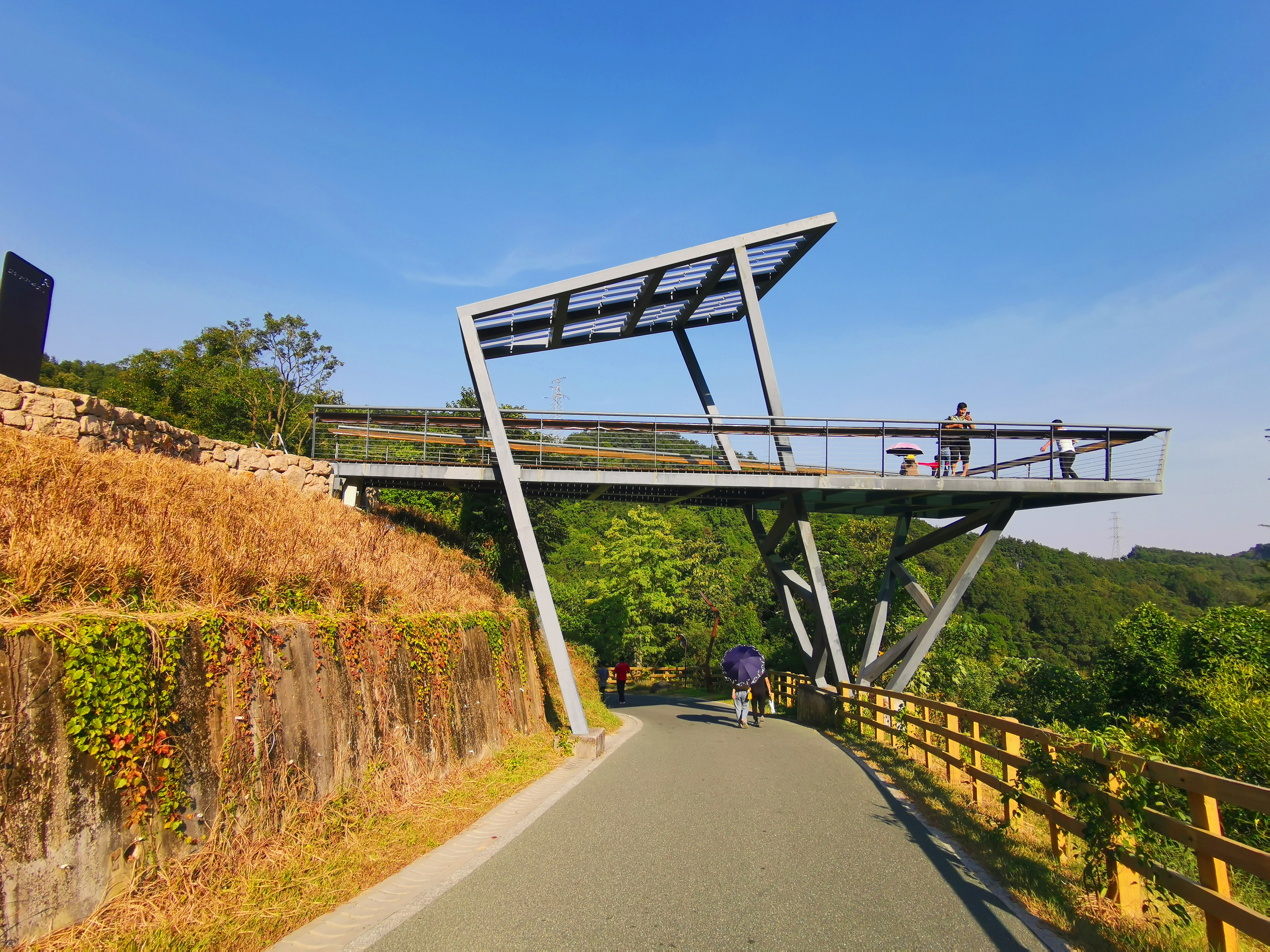 羊台山玻璃观景台在哪里,深圳羊台山最佳观景