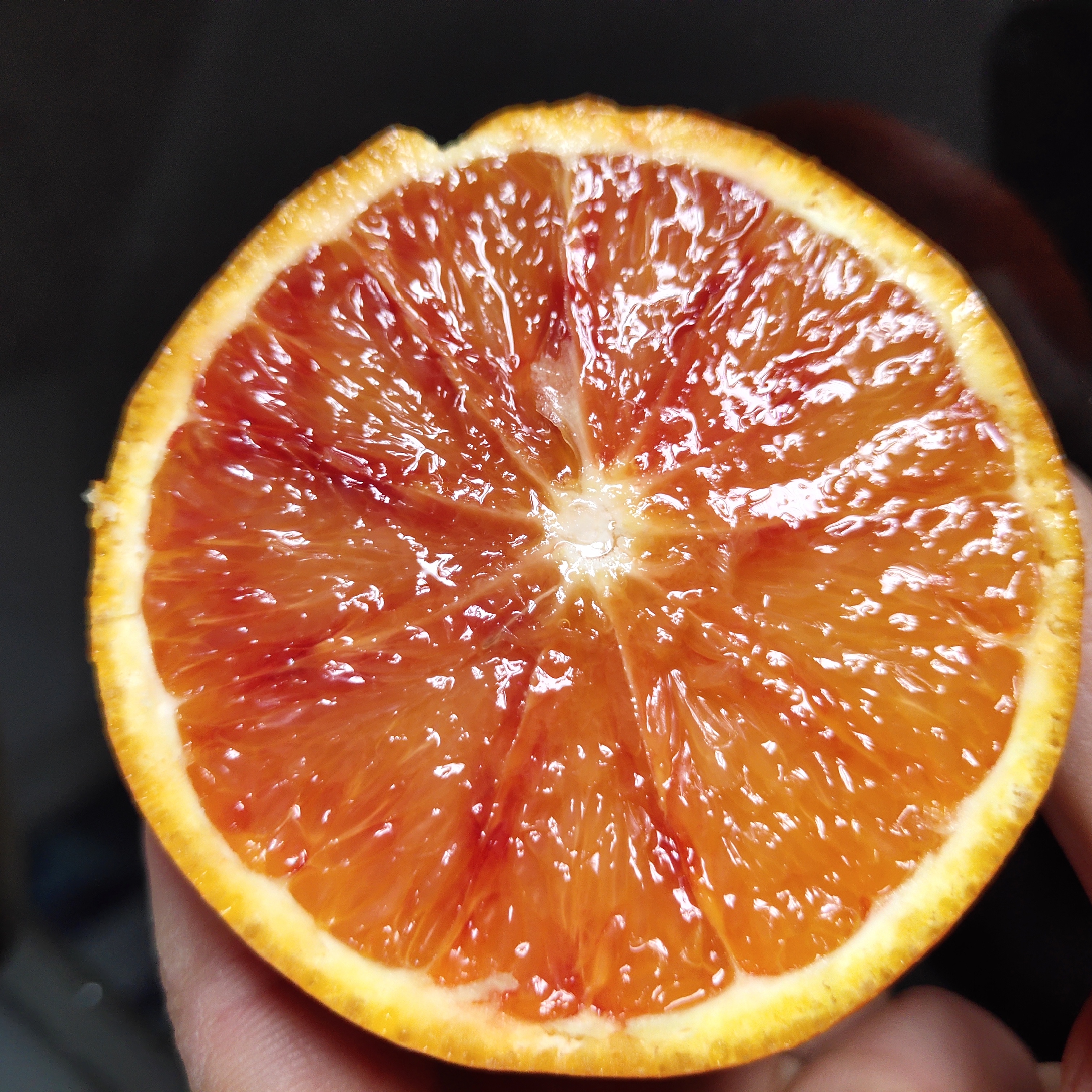 橙子有公母之分怎样挑选,橙子分类视频