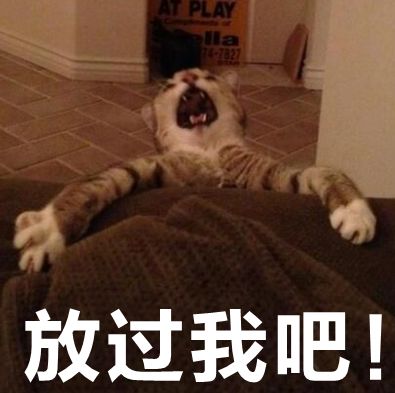 那些很奇葩的歌,盘点这些年奇葩的歌名