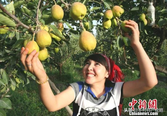 疆客巴州名优特产,疆好货新疆特产干果