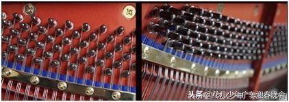 斯坦劳莱斯钢琴官网,斯坦劳莱斯钢琴与珠江钢琴