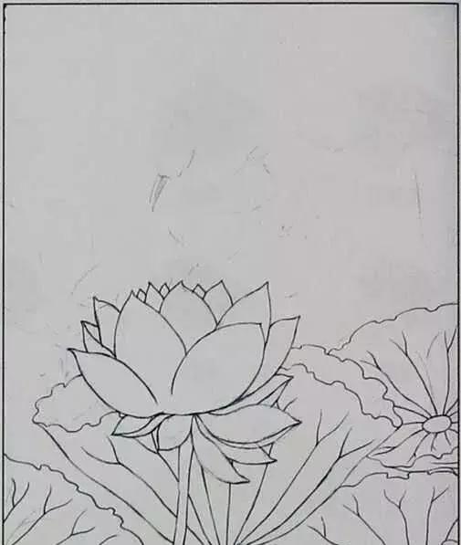 画荷塘与荷花,画一张美丽的荷塘画