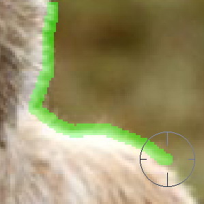 photoshopcs5怎么抠图,adobephotoshop抠图