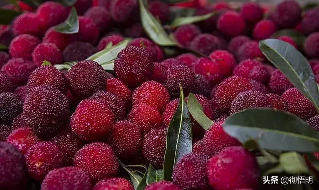 江苏旅游西山岛攻略图文,内湖洞庭西山岛