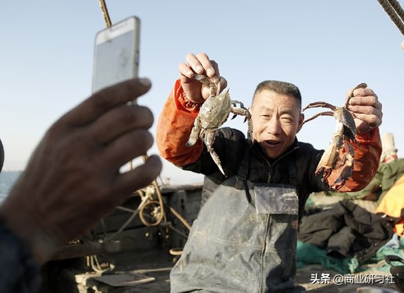 渔民直播卖梭子蟹,67岁老渔民直播