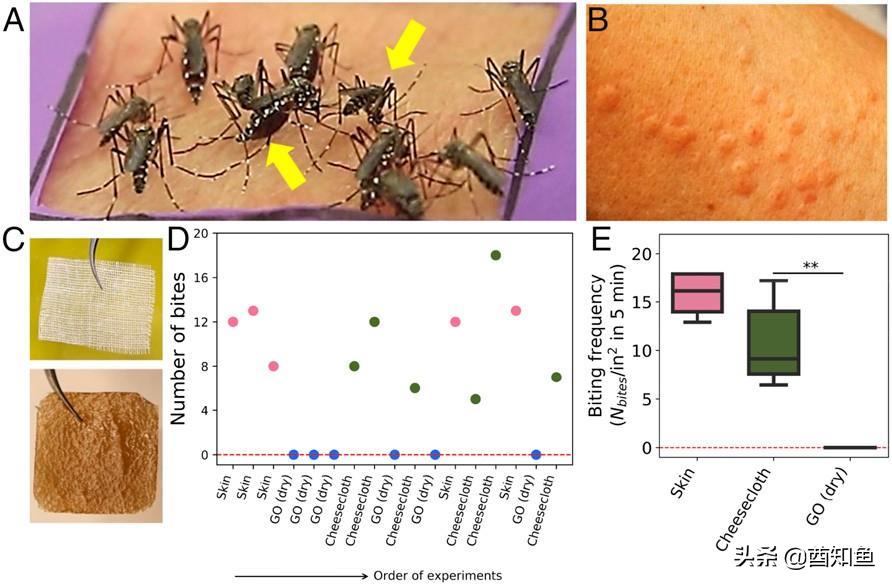石墨烯能让人在蚊子面前“隐形”？高科技材料功能太强大