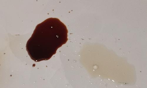 閽熺偣鐙楁櫤鑳芥摝鍦版満鍗囩骇,閽熺偣鐙楁櫤鑳芥摝鍦版満