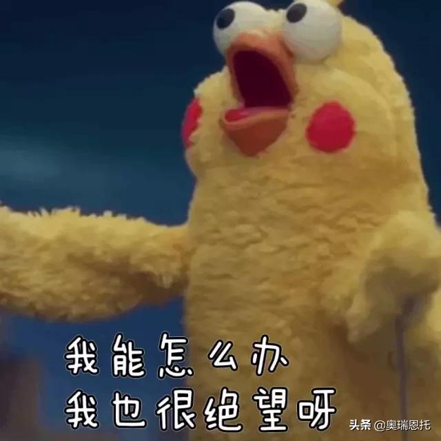 怎样保养包包更有光泽度,真皮包包怎么保养不会开裂