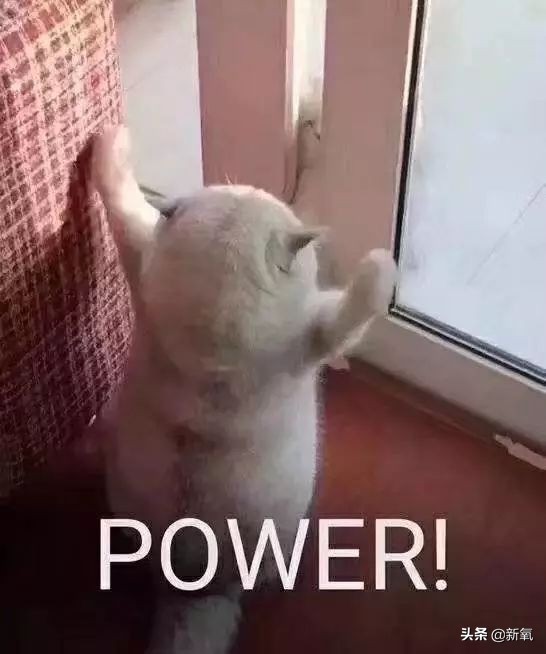 花六位数冤枉钱呕血总结的教训,教你一招手撕猖狂假货卖家!