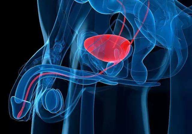 前列腺癌的症状吃什么食物,前列腺癌的寿命有几年