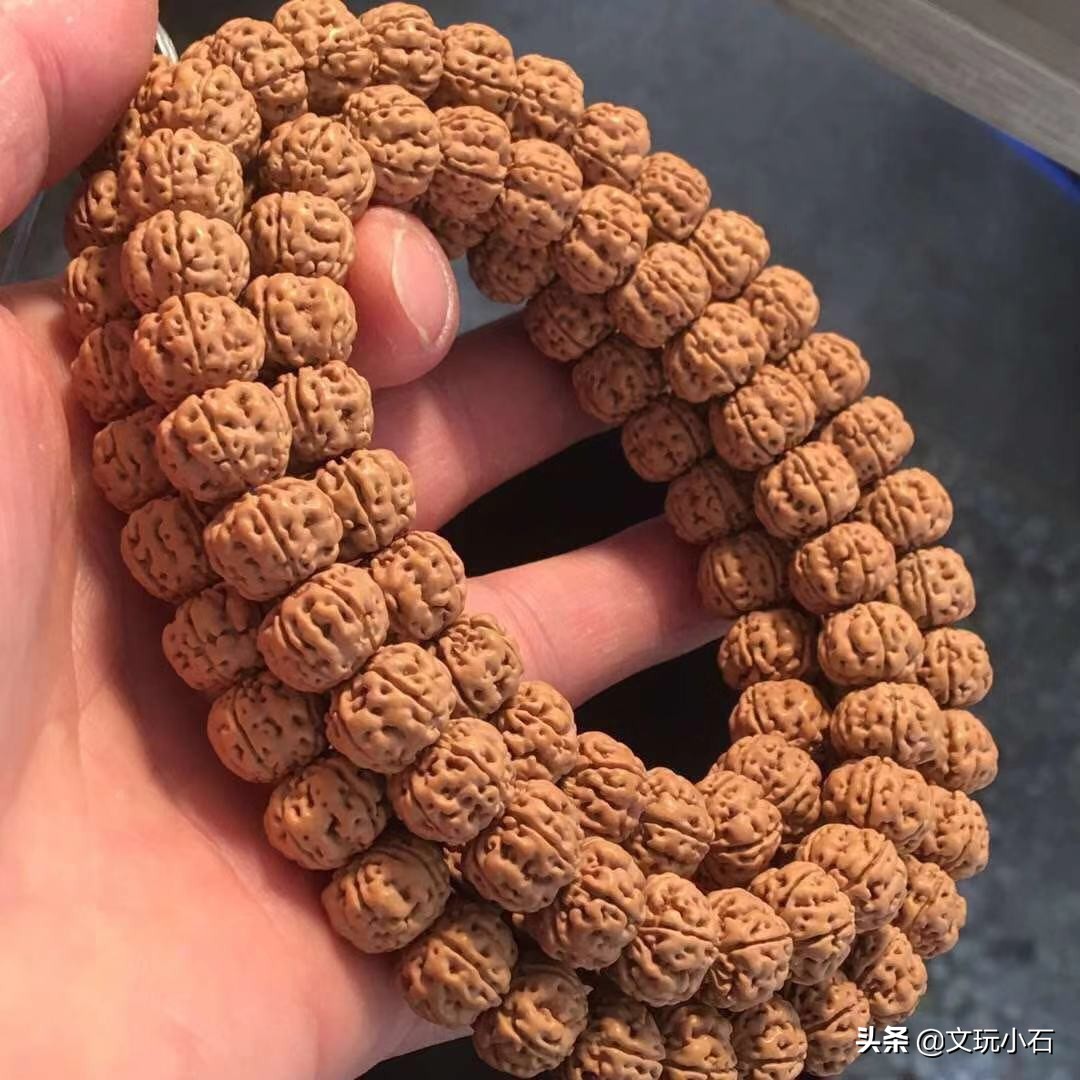 金刚菩提入门知识，新手必备，掌握了三言两语就能让别人刮目！